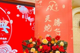 湖北扶星2025年蛇年春節(jié)聯(lián)歡晚會(huì)